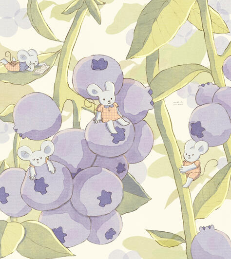 blueberry mouse blueberry mouse