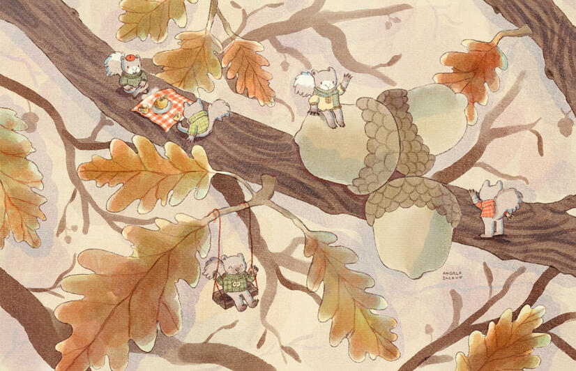 acorn acorn