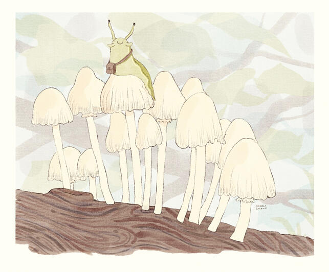 slug slug