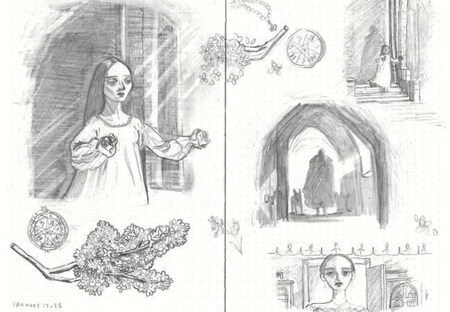 image11 image11