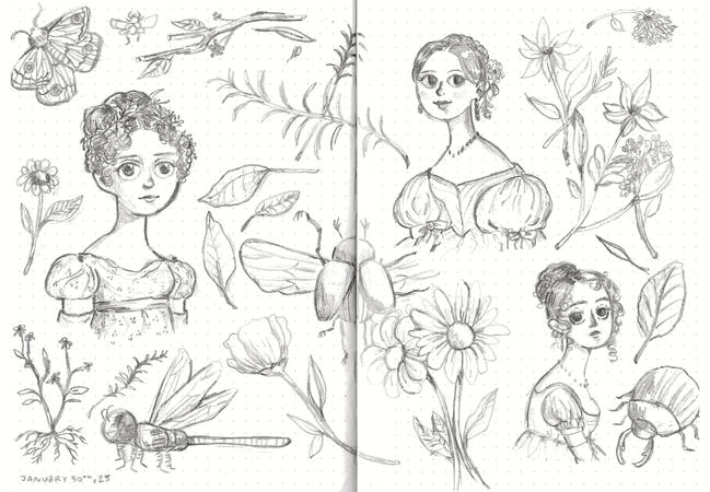 image7 image7