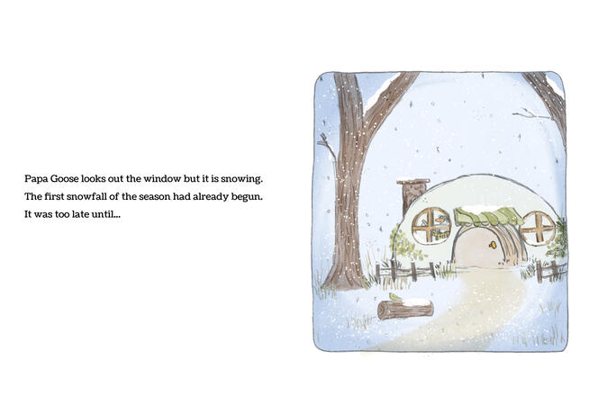 image4 image4